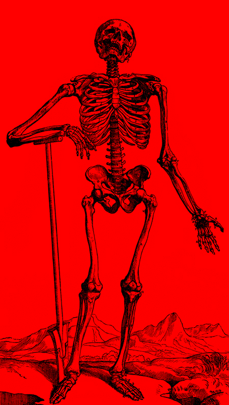 An animation showing each layer of the previous drawing separately; a skeleton with a red background, a muscular system with with a green background, and a nervous (?) system with a blue background